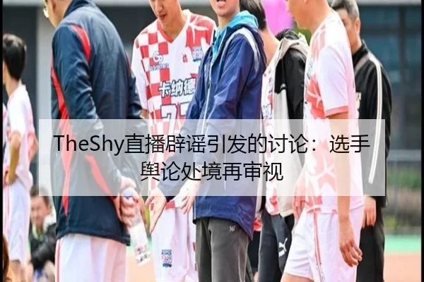 TheShy直播辟谣引发的讨论：选手舆论处境再审视